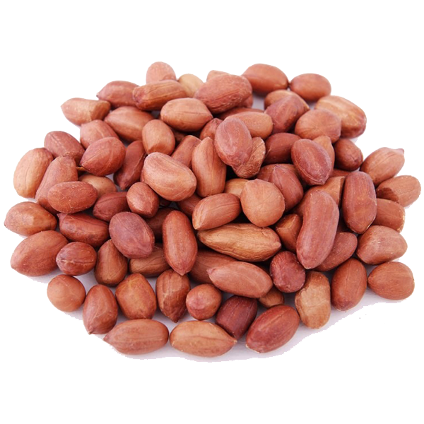 Groundnuts